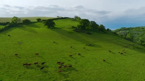 Farms and Fields over River Dart, Stoke Gabriel, Totnes, Devon, England Vidéo 312479729
