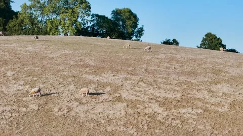 Farms and Fields over River Teign and Teignmouth Road, Newton Abbot, Devon Stock-Footage 314329228