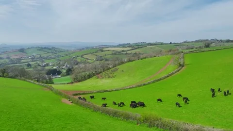 Farms and Fields over Torquay from a drone, Devon, England Stock Footage 306541873