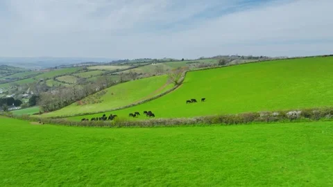 Farms and Fields over Torquay from a drone, Devon, England 스톡 동영상 306541880