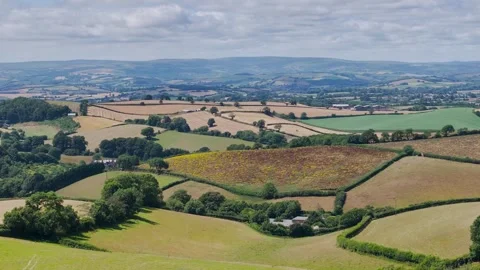 Farms and Fields over Torquay from a drone, Devon, England Stock-Footage 312768559