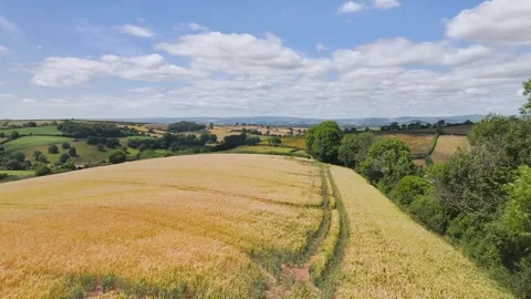 Farms and Fields over Torquay from a drone, Devon, England Vidéo 312836669