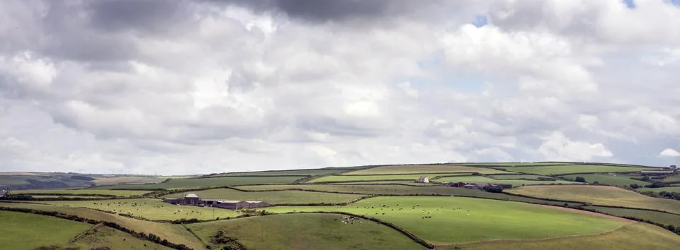 Farms with cows and patchwork landscape near cornish  fort isaac in england Stock Photos
