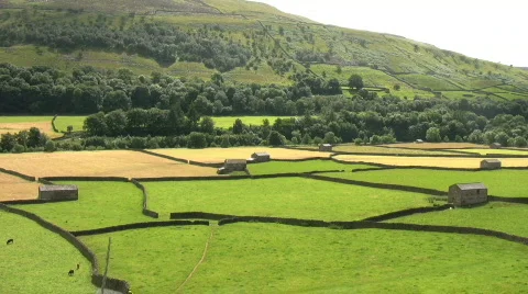 Farms in a green English valley at Swaledale North Yorkshire Stock Footage