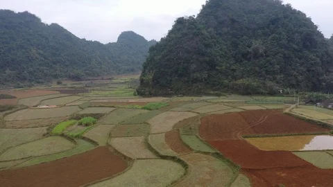 Farms in North Vietnam Drone Video Stock Footage 125503053