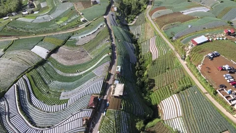 Farms 'Structure' on Slope Stock Footage 146568131