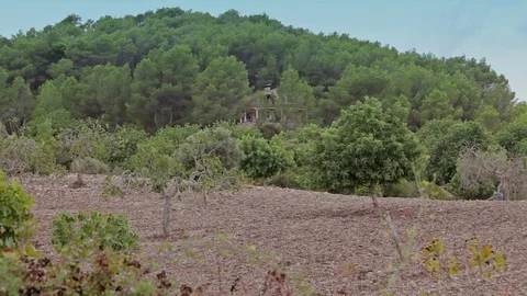 Farms in the suburbs of Cala Mendia Stock Footage 75958616