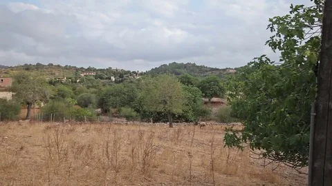 Farms in the suburbs of Cala Mendia Stock Footage 75960193