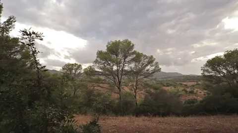 Farms in the suburbs of Cala Mendia Stock Footage 75965890