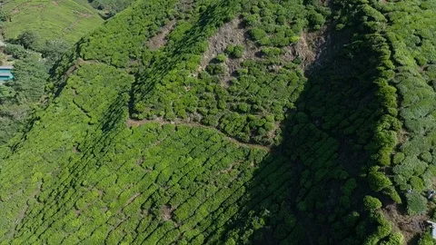 Farms on top of a hill Stock Footage 111688403