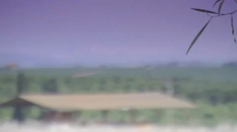 Farms view 2 스톡 동영상 10725231