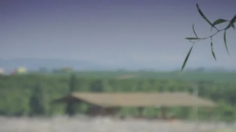 Farms view 스톡 동영상 10724151