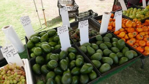 Farmstand Foto stock