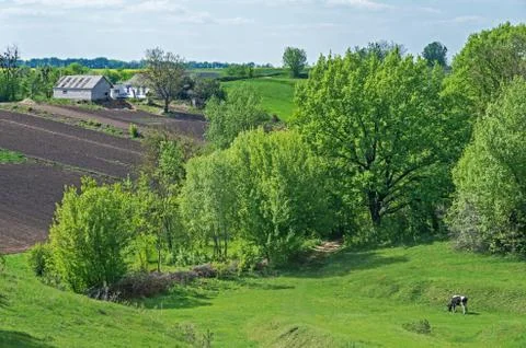 Farmstead on hillside Stock Photos