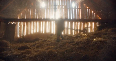 A farmworker throwing hay in a barn by hand in slow motion with sun rays in the  Stock Footage 129404394