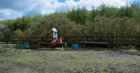 A farmyard and a forest Stock Footage 238994117