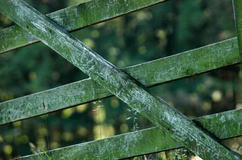 Farmyard gate Foto stock