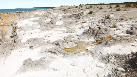 Fårö Stock-Footage 109497565