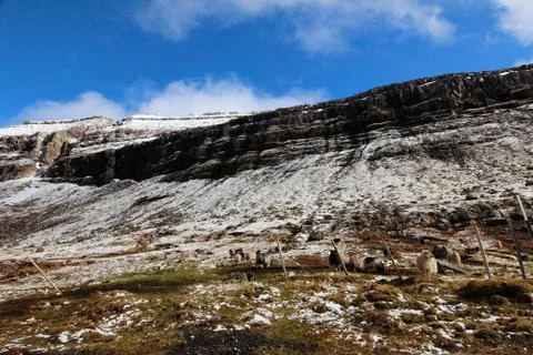 Faroe Islands Stock Photos