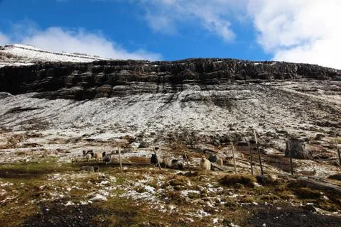 Faroe Islands Stock Photos
