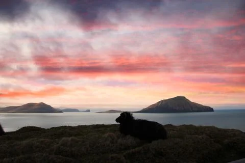 Faroe Islands Stock Photos