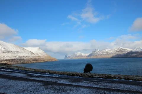 Faroe Islands Stock Photos