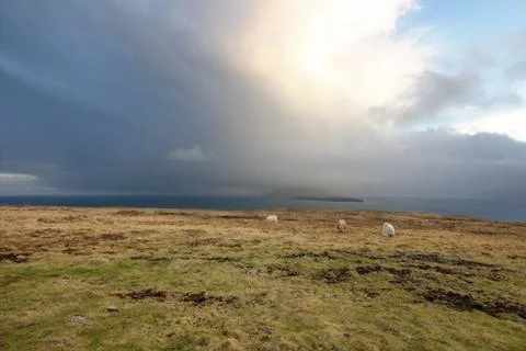 Faroe Islands Stock Photos
