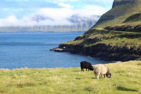 Faroe Islands Stock Photos