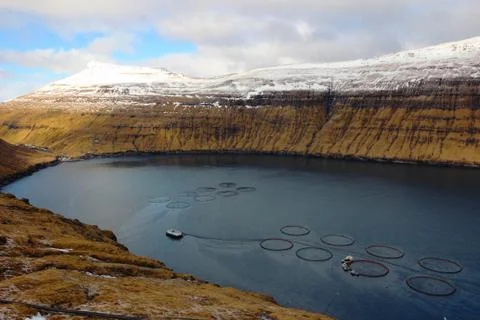 Faroe Islands Stock Photos