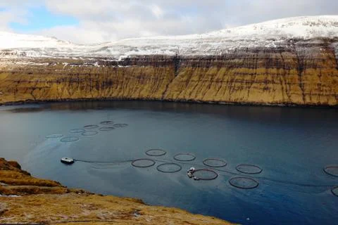 Faroe Islands Stock Photos