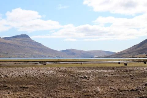 Faroe Islands Stock Photos