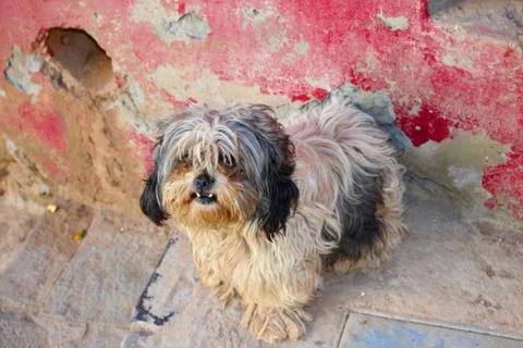 Faroe Islands Stock Photos