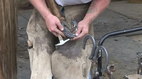 Farrier Applying Horseshoe Stock Footage 22020761