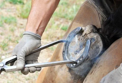 Farrier Stockfoto's