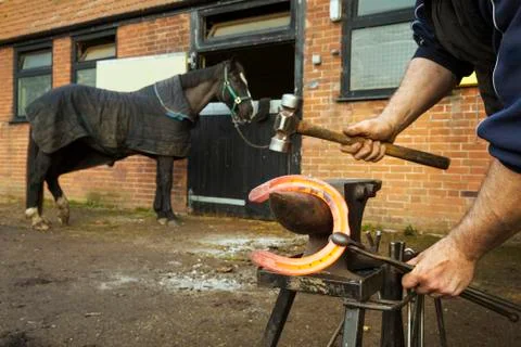 A farrier using tongs and hammer to hold and shape a red glowing heated metal 写真素材