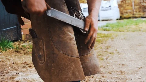A farrier using a wasp to file down a young horses hoof ready for a fresh Stock Footage 103325194