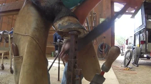 Farrier working Stock Footage 69072407