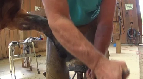 Farrier working  Stock Footage 69072423