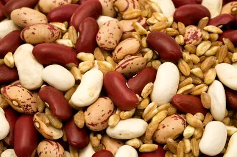 Farro and beans Stock Photos