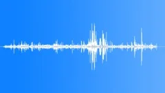 Farrowing Pens Interior General Sound Effect