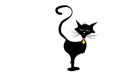 Fart black cat Ha-Ha Video stock 169818192