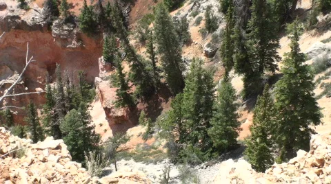 Farview Point 3 Stock Footage 673819