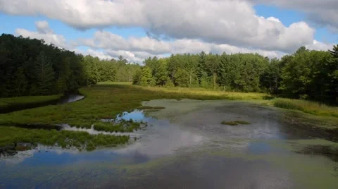 Farwell Lake Puffy Clouds Stock Footage 68000406