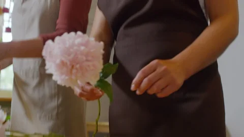 Fascinated florist apprentice stripping peony flower 스톡 동영상 106868829