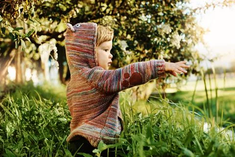 Fascinated by nature Stock Photos