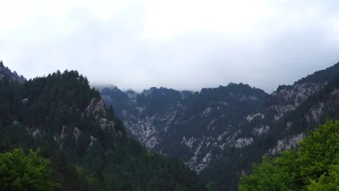 Fascinating 360 panoramic aerial view on green pine tree covered Olympus Stock Footage 95794102