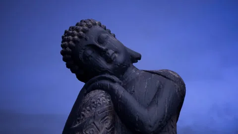 Fascinating buddha statue on a calm evening Stock Footage 314017558