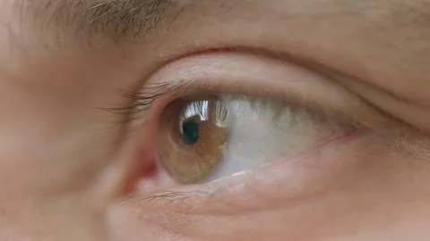 A Fascinating CloseUp of a Human Eye Capturing the Subtle Expressions and Emotio Stock Photos