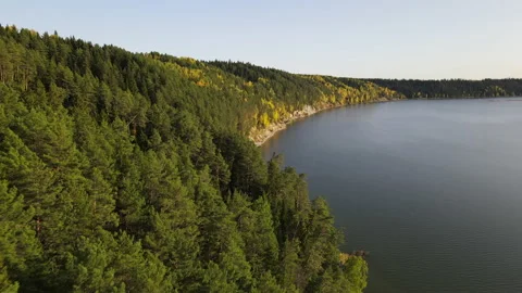 Fascinating flight over the yellow forest and river  Stock Footage 144035133