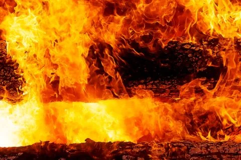 Fascinating graphic detail of burning fire consuming wooden logs. Stock Illustration